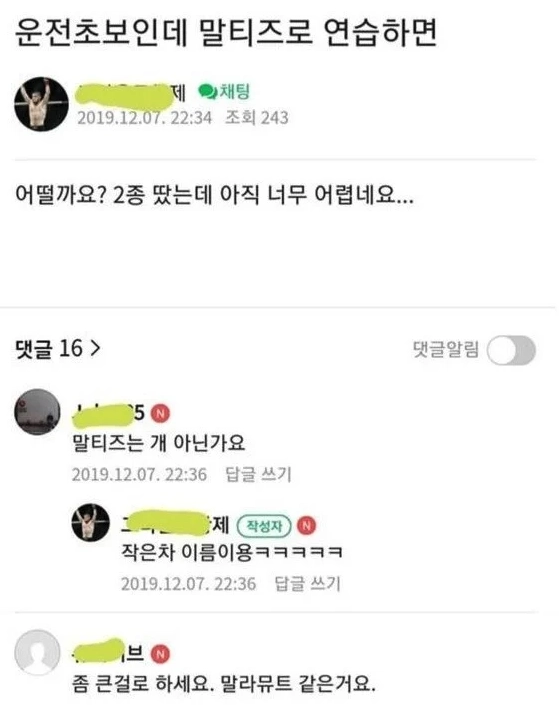 운전초보인데 말티즈로 연습하면 되나요