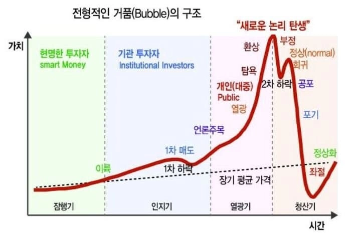 엔비디아 주가 그래프 근황