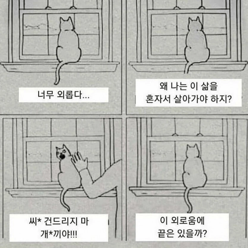 냥이가  외로운 이유