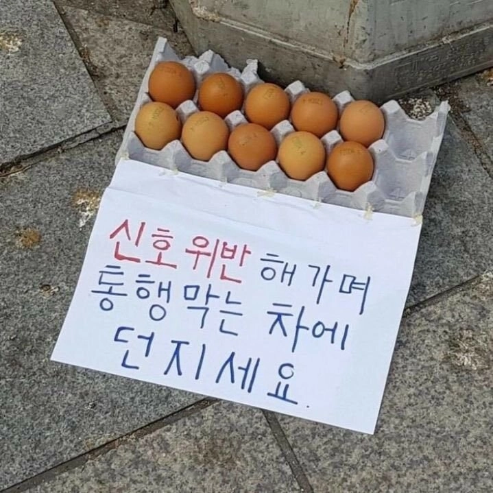 길에 놓인 계란