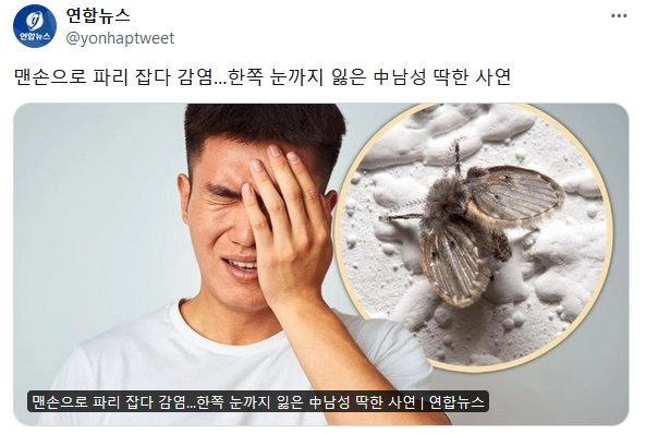 손으로 파리잡다 감염되어  한쪽 눈 실명 중국남성