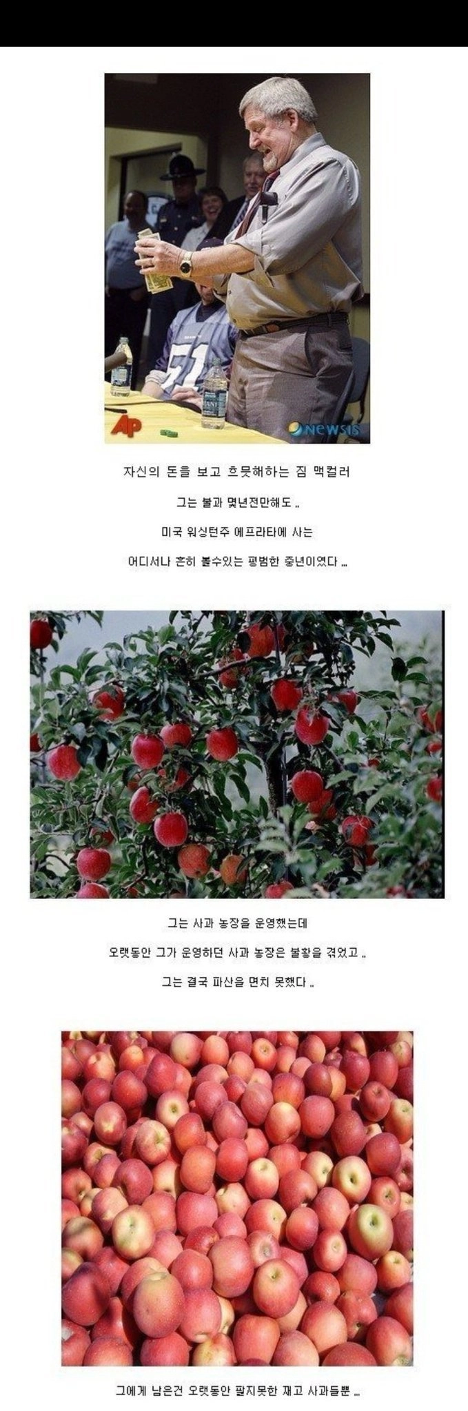 사과농장 망했어도 수천억을 벌수 있었던 사연