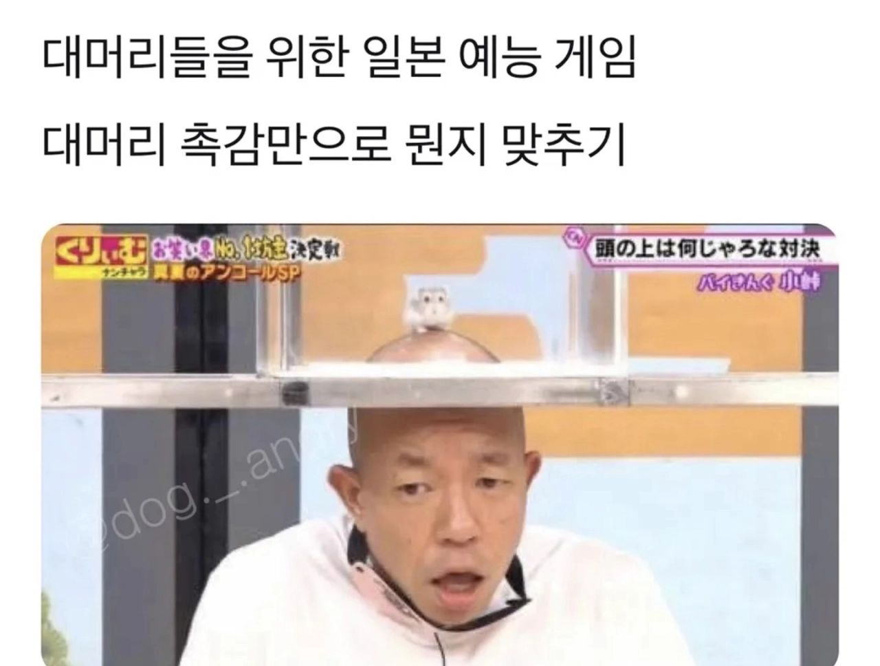 대머리만 할 수 있는 예능 게임ㅎㅎ