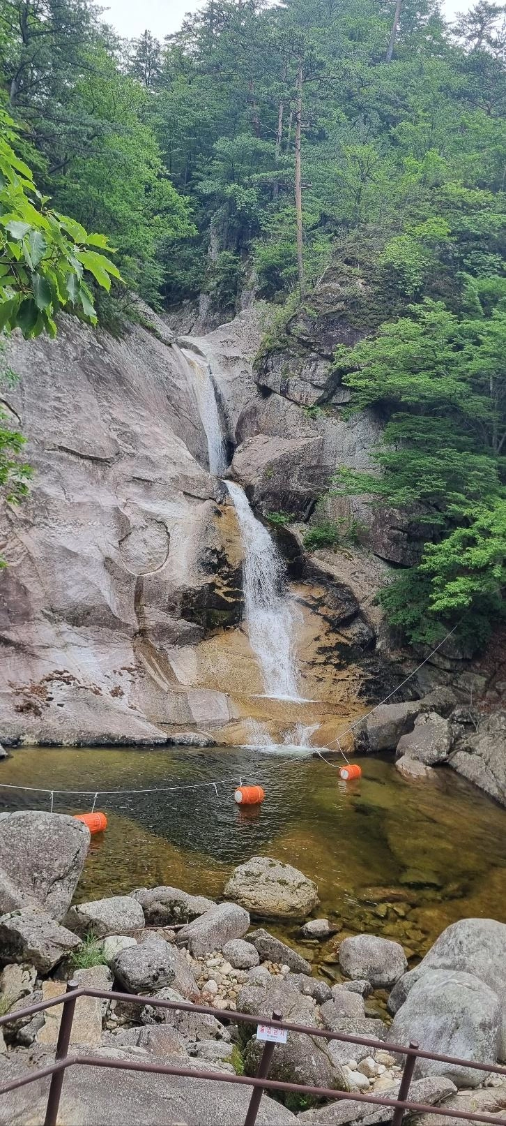 날씨가 너무더워요..