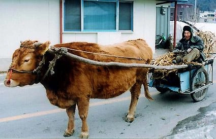 '디자인 美 쳤다!' 현대 미국형 쏘나타 풀체인지 공개