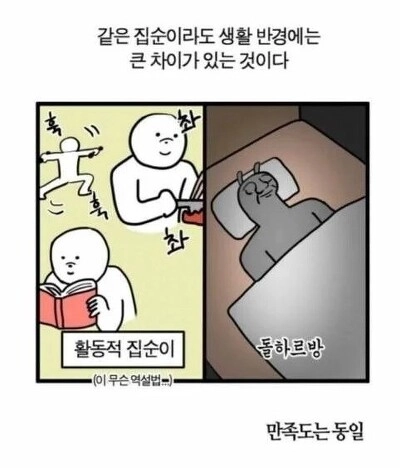 집순이 유형