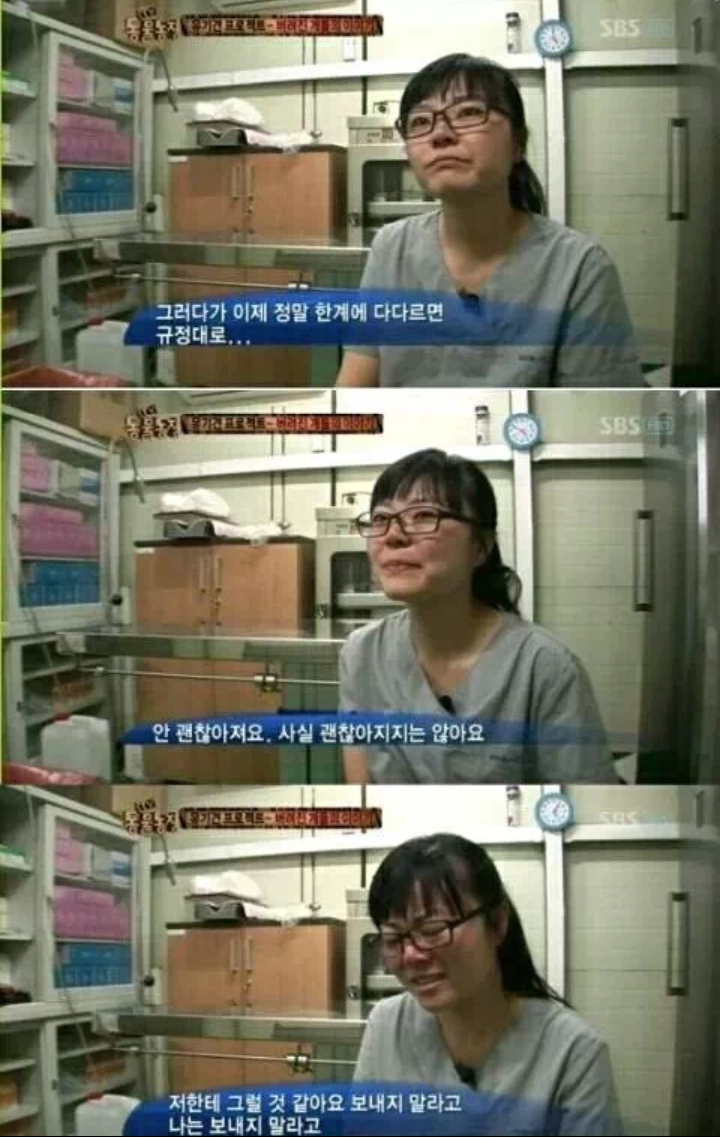 안락사 시키는 수의사들의 심정