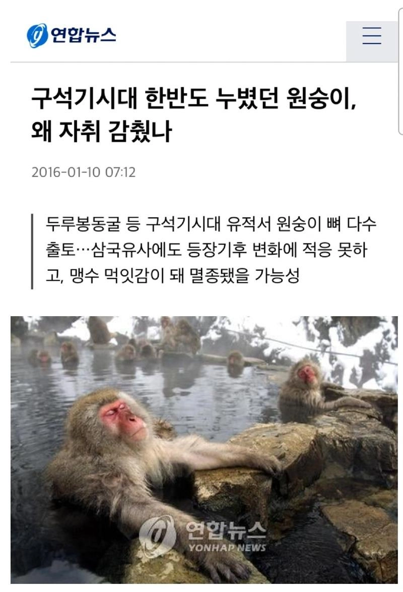 한국에 원숭이가 없는 이유