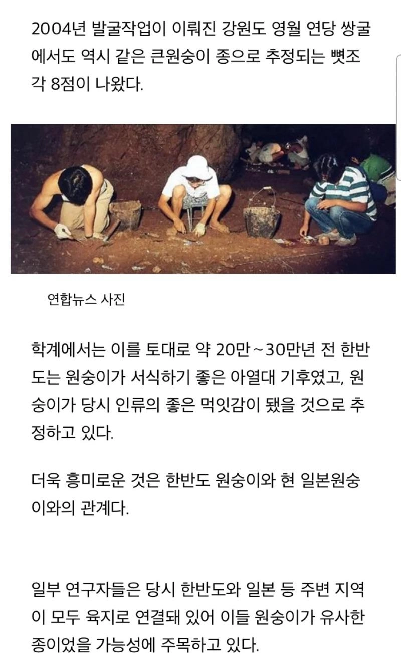 한국에 원숭이가 없는 이유