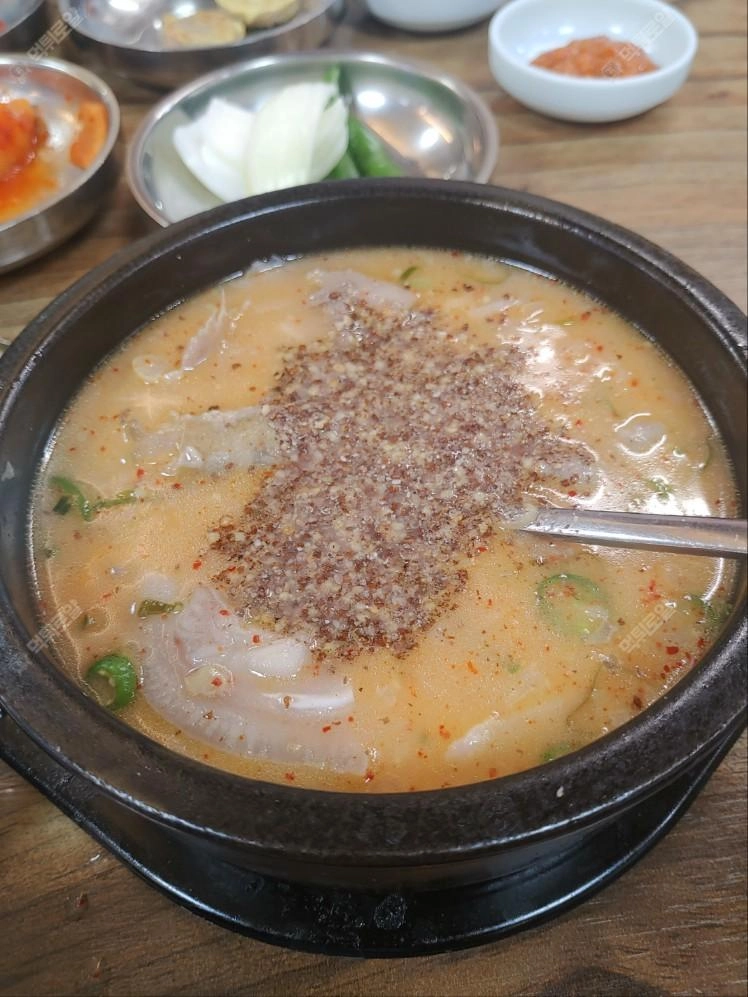 점심 맛점하세요~