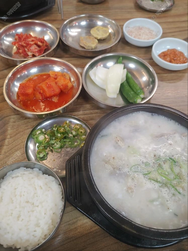 점심 맛점하세요~