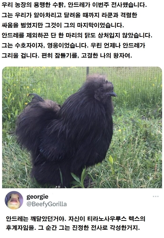 용맹하고 고결한 왕자 안드레 잠들다.