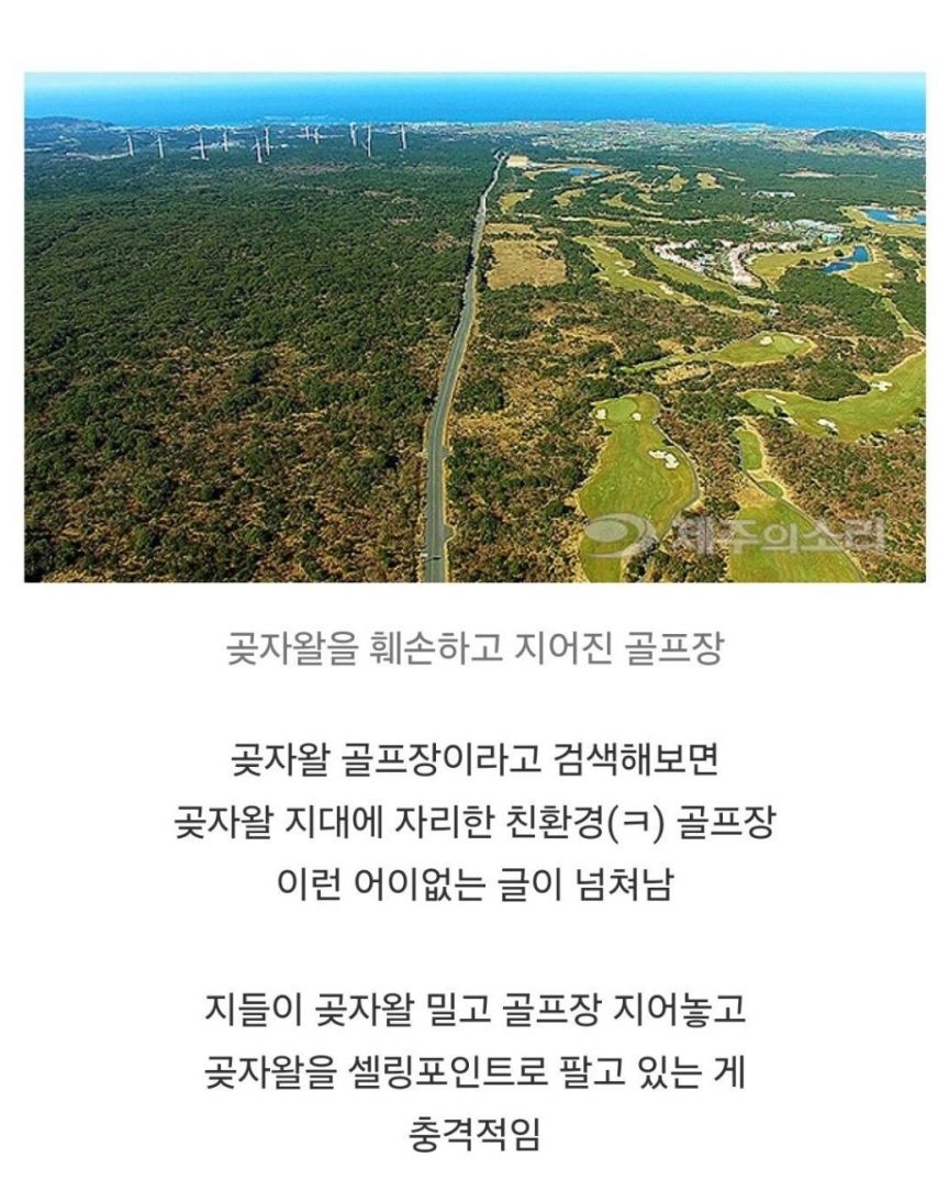 비밀이 밝혀진 것이 오히려 비극이 된 숲