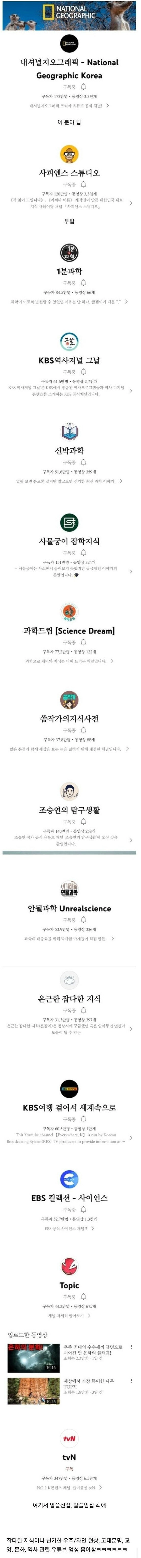 은근히 있다는 유튜브 취향