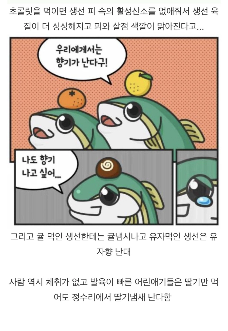 생선에게 초콜릿을 먹이는 이유?