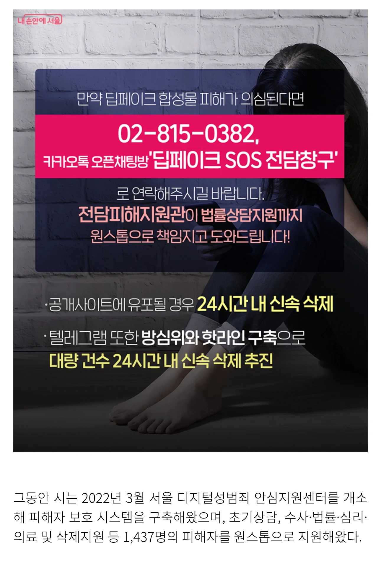 서울시, 딥페이크 24시간 내 삭제 지원 핫라인 구축