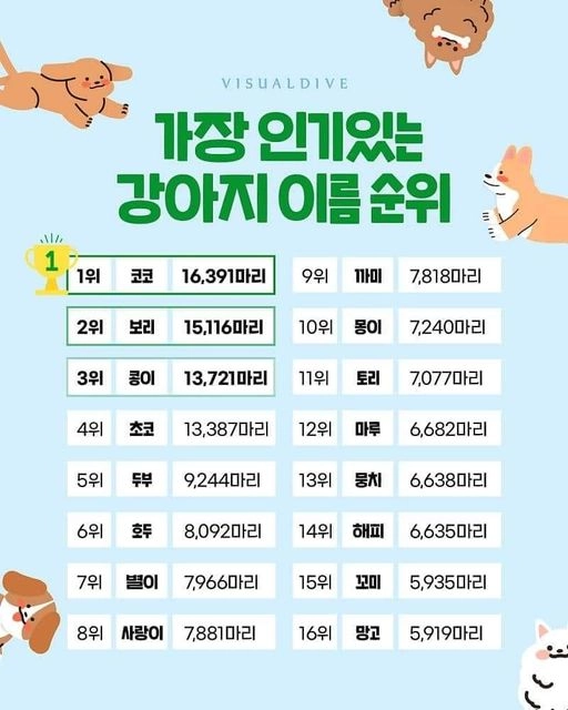 [유머] 강아지 이름 순위