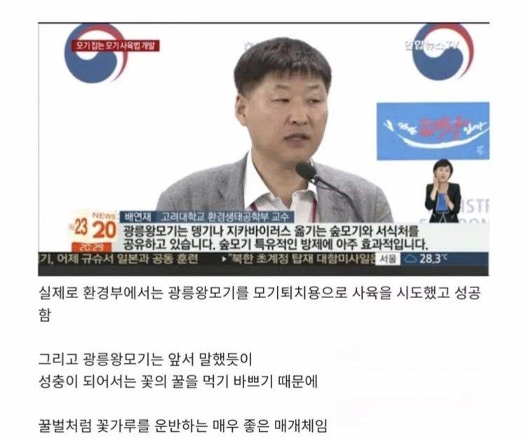 한반도에 서식하는 착한 모기