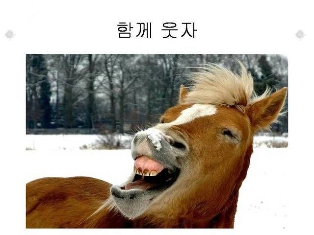 안녕하세요 ^^