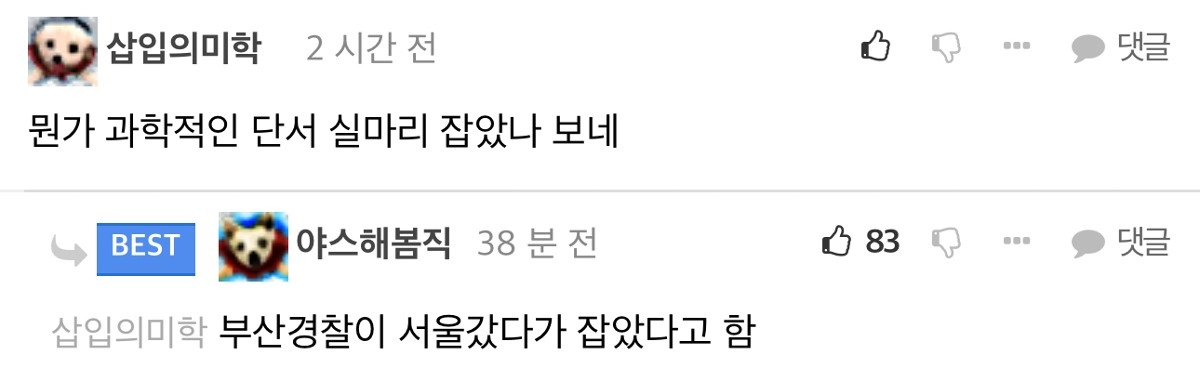 그알 레전드 신정동 엽기토끼 사건 근황