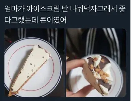 아이스크림 정확하게 반으로 나눠 먹는 법ㅋㅋㅋ