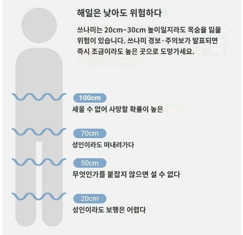 쓰나미 위험성