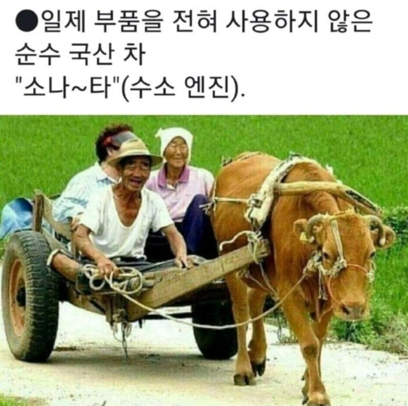 손하타